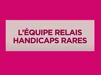 Qu'est-ce que l'Equipe Relais Handicaps Rares ?