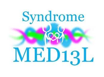 Web-série MED13L