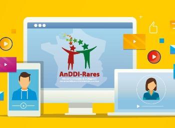 AnDDI-Focus #3 - Les webinaires AnDDI-Rares