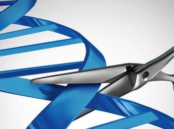 CRISPR-Cas9 : des nouvelles perspectives de recherches thérapeutiques à accompagner