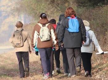 Prochaines balades solidaires 2024