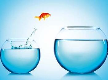 Adolescents et Maladies Rares : Quelles perspectives communes pour une transition réussie ?